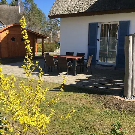 Reetdach Ferienhaus Dunenblick بيت للعطل غلوفي